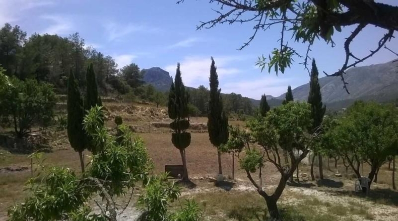 Alicante - Benisa - 15167m2