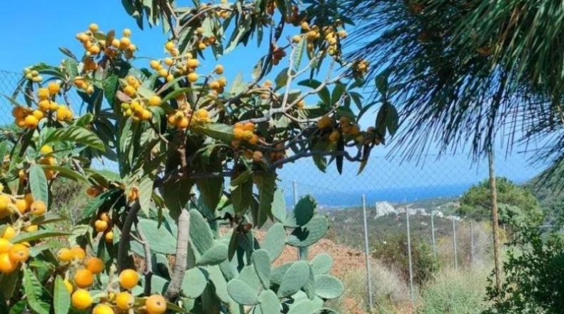 Málaga - Estepona - 14670m2