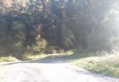 Land suitable for development for sale on España, Elgueta, ref: TR124254 photo