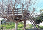 Xalet independent amb terreny en venda a la España, Chiclana de la Frontera, ref.: TR327095 foto