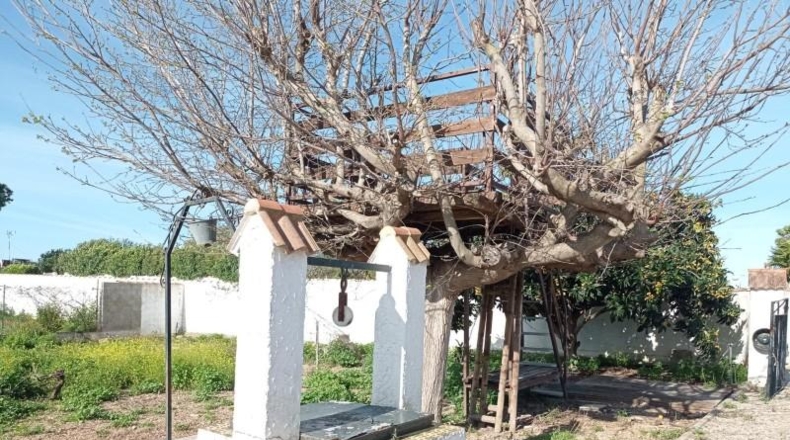 Cádiz - Chiclana de la Frontera - 2135m2