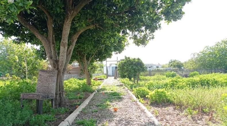 Cádiz - Chiclana de la Frontera - 2135m2