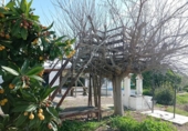 Xalet independent amb terreny en venda a la España, Chiclana de la Frontera, ref.: TR327095 foto