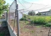 Xalet independent amb terreny en venda a la España, Chiclana de la Frontera, ref.: TR327095 foto