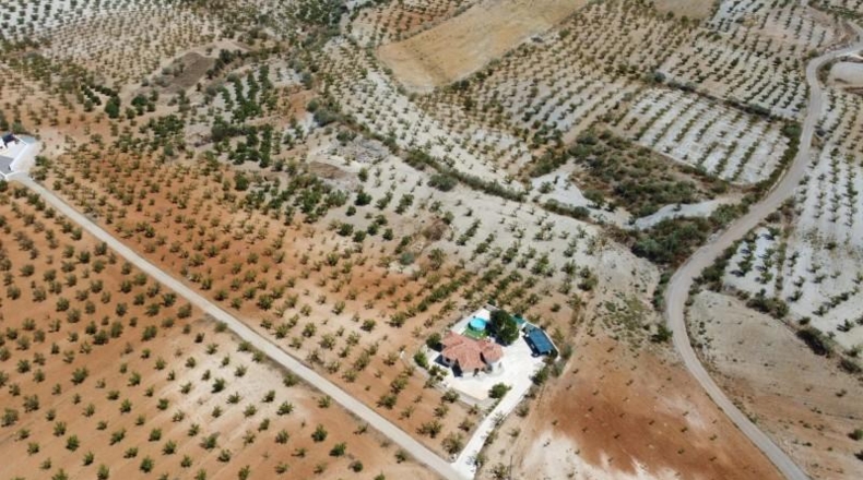 Almería - Oria - 12390m2