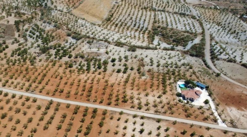 Almería - Oria - 12390m2