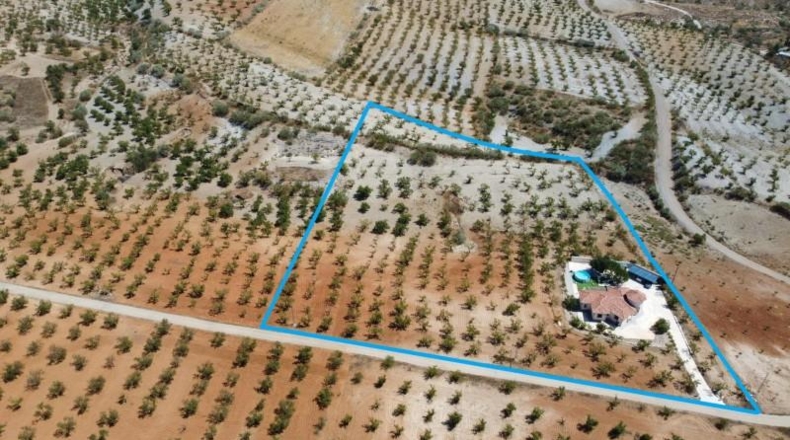 Almería - Oria - 12390m2