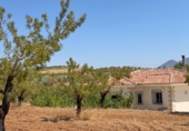 Xalet independent amb terreny en venda a la España, Oria, ref.: TR328982 foto