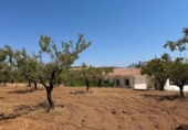 Xalet independent amb terreny en venda a la España, Oria, ref.: TR328982 foto