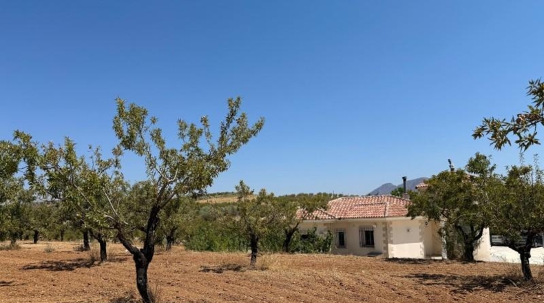 Almería - Oria - 12390m2
