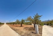 Xalet independent amb terreny en venda a la España, Oria, ref.: TR328982 foto
