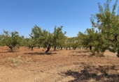 Xalet independent amb terreny en venda a la España, Oria, ref.: TR328982 foto