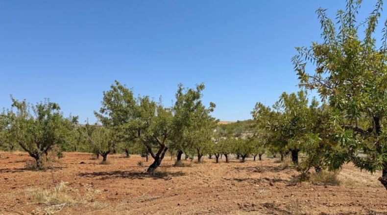 Almería - Oria - 12390m2