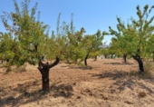 Xalet independent amb terreny en venda a la España, Oria, ref.: TR328982 foto