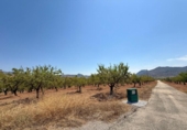 Xalet independent amb terreny en venda a la España, Oria, ref.: TR328982 foto