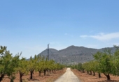 Xalet independent amb terreny en venda a la España, Oria, ref.: TR328982 foto