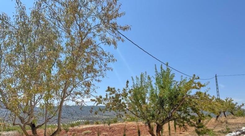 Almería - Oria - 12390m2