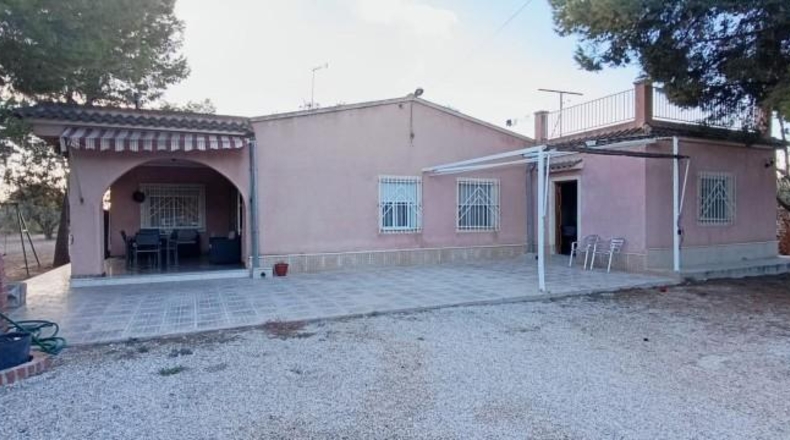 Alicante - Elche - 2730m2