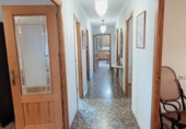 Casa de camp amb terreny en venda a la España, Elx, ref.: TR339282 foto