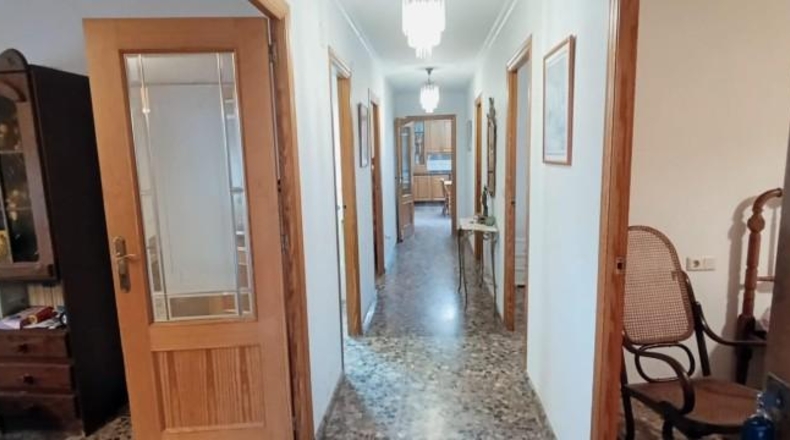 Alicante - Elche - 2730m2
