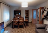 Casa de camp amb terreny en venda a la España, Elx, ref.: TR339282 foto