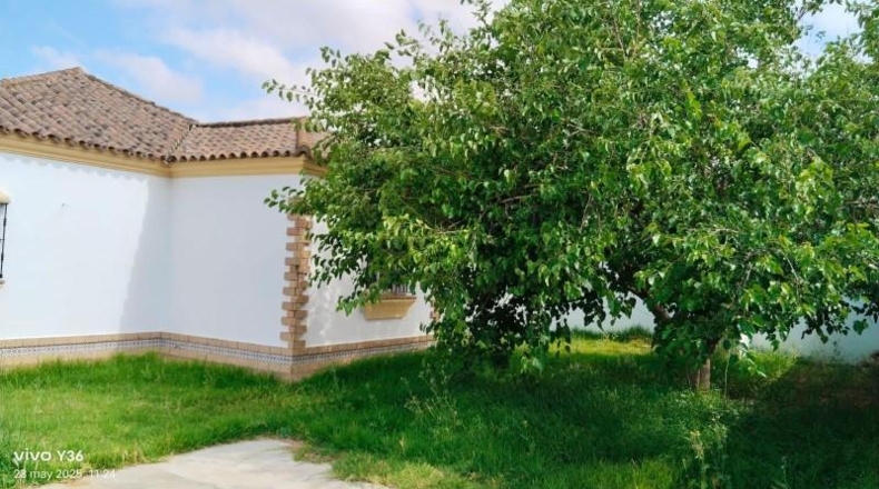 Cadiz - Chiclana de la Frontera - 500m2
