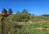 Sòl urbà en venda a la España, Machado, ref.: TR308615 foto
