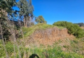 Sòl urbà en venda a la España, Machado, ref.: TR308615 foto