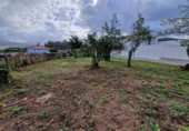 Terreny no urbanitzable en venda a la España, Gondomar, ref.: TR118545 foto