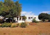 Xalet independent amb terreny en venda a la España, Chiclana de la Frontera, ref.: TR149092 foto