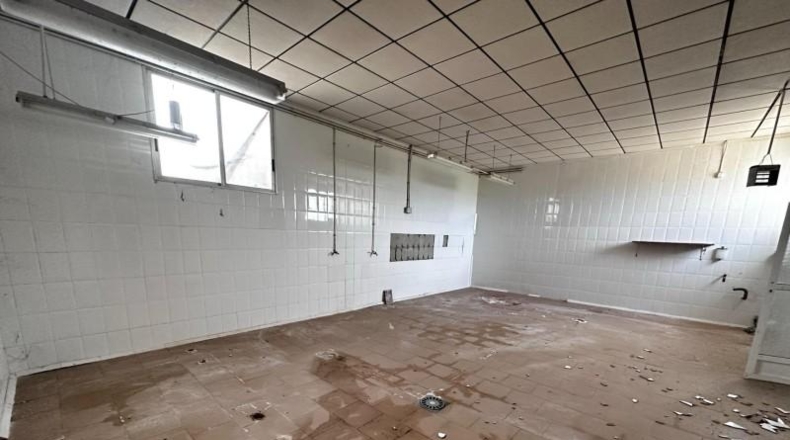 Alicante - Callosa de Segura - 5000m2