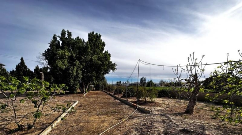 Alicante - Callosa de Segura - 5000m2