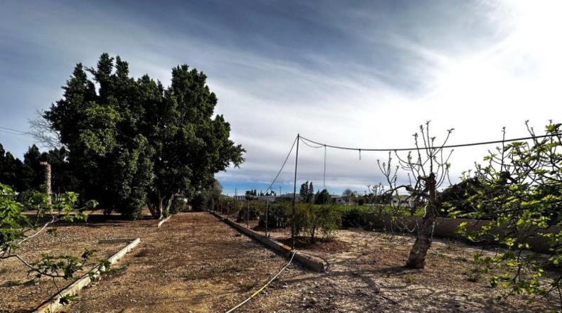 Alicante - Callosa de Segura - 5000m2