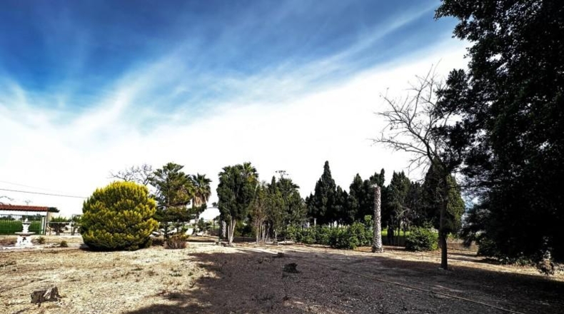 Alicante - Callosa de Segura - 5000m2