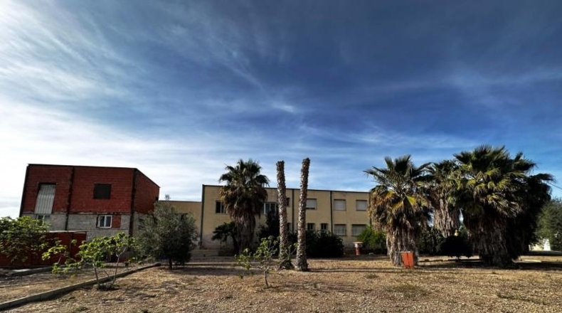Alicante - Callosa de Segura - 5000m2