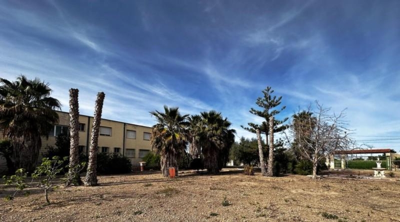Alicante - Callosa de Segura - 5000m2