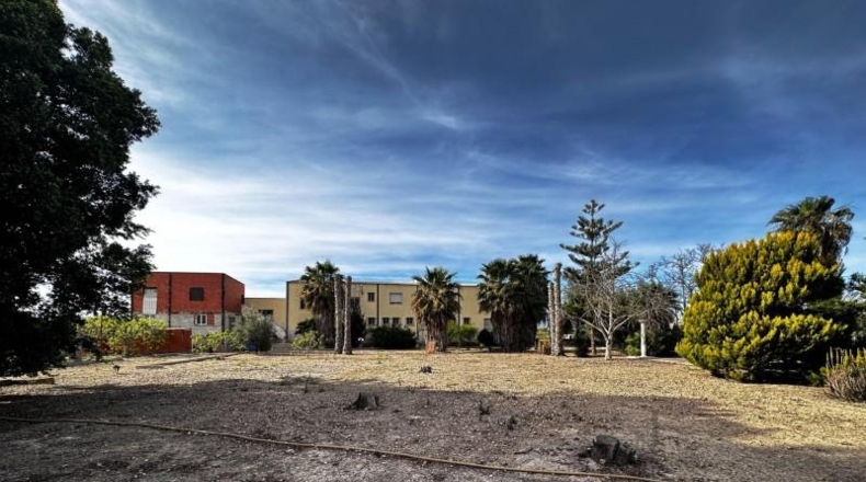 Alicante - Callosa de Segura - 5000m2