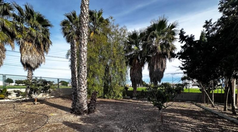 Alicante - Callosa de Segura - 5000m2