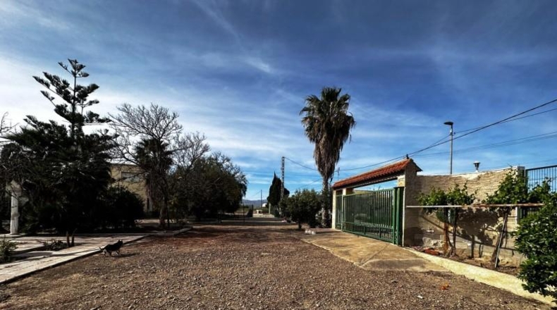 Alicante - Callosa de Segura - 5000m2