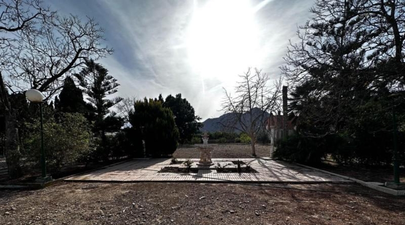 Alicante - Callosa de Segura - 5000m2