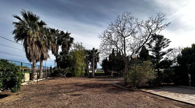 Alicante - Callosa de Segura - 5000m2