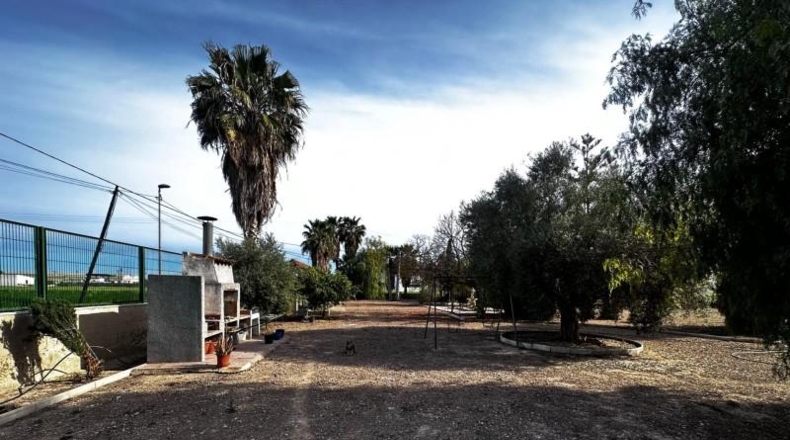 Alicante - Callosa de Segura - 5000m2