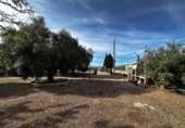 Casa de camp amb terreny en venda a la España, Callosa de Segura, ref.: TR147499 foto