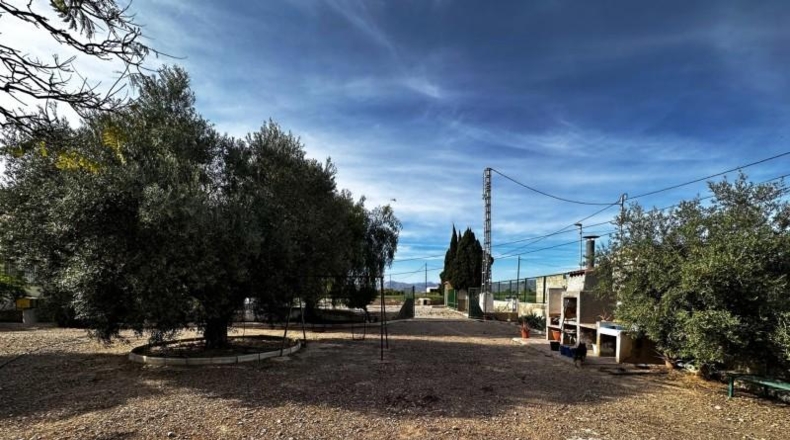 Alicante - Callosa de Segura - 5000m2