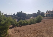 Terreno no urbanizable en venta en la España, Elche, ref: TR115370 foto