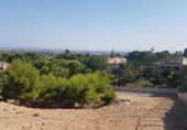 Terreno no urbanizable en venta en la España, Elche, ref: TR115370 foto
