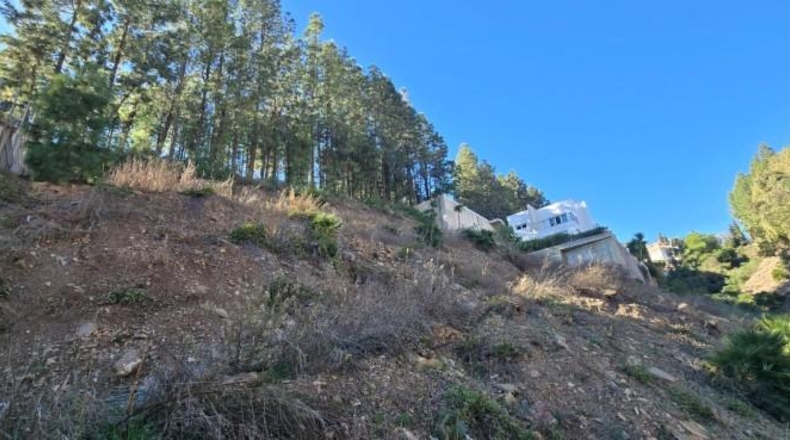 Malaga - Málaga - 709m2