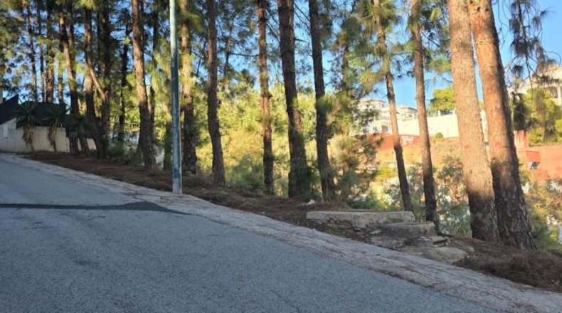 Malaga - Málaga - 709m2