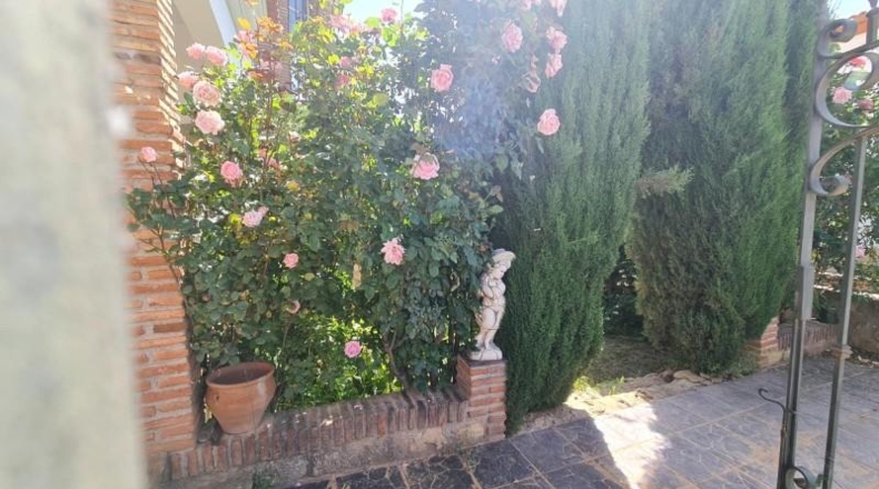 Granada - Graena - 600m2