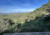Xalet independent amb terreny en venda a la España, Lloret de Mar, ref.: TR350924 foto